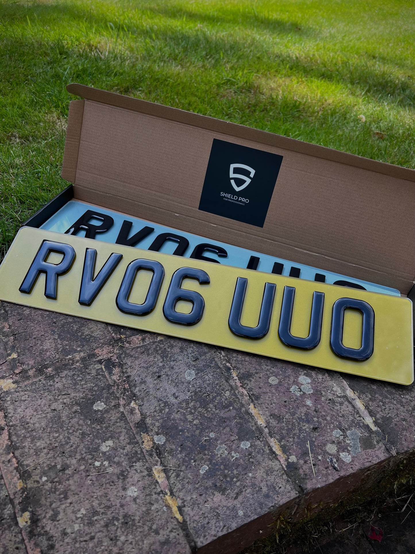 Tinted Plates